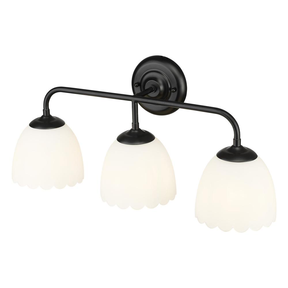 Golden Lighting Dorinda 3-light Vanity in Matte Black
